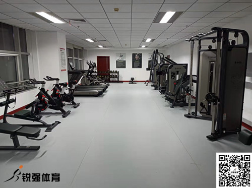濟(jì)南某集團(tuán)采購的開云.kaiyun提供的健身器材